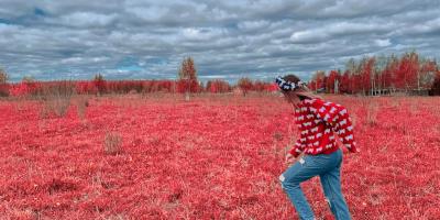 Фотопечать на А4: оживите ваши воспоминания!